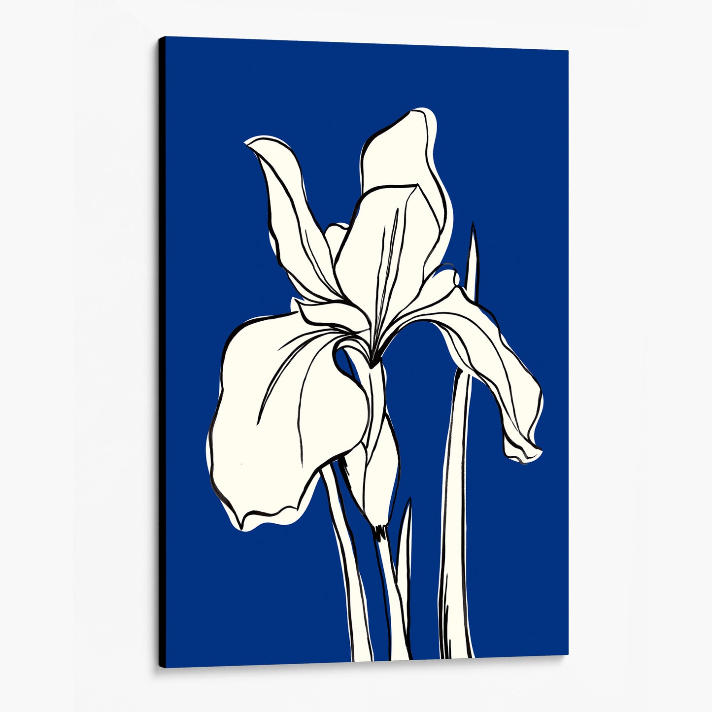 Unframed Iris Blue floral wall art angled view showing canvas depth — botanical iris line drawing in warm cream against deep cobalt blue background