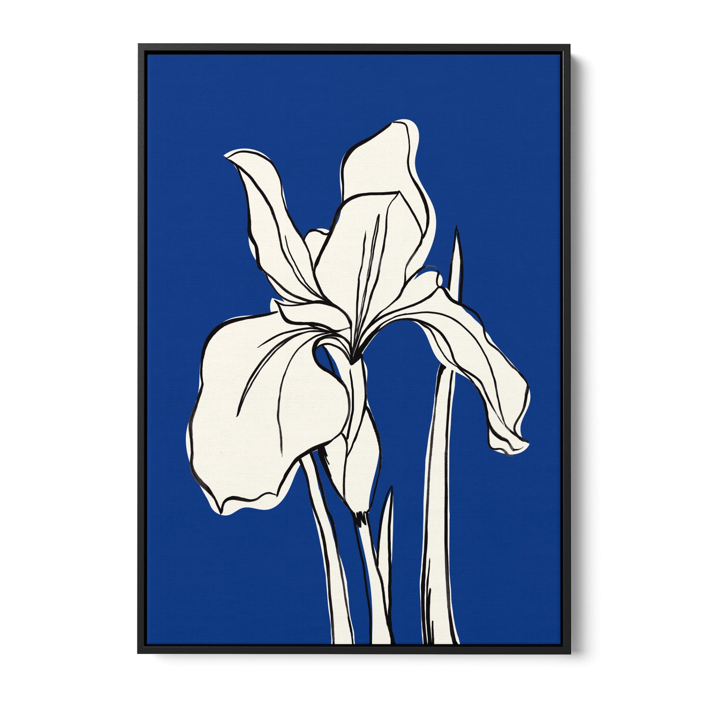 Iris Blue floral wall art — botanical iris line drawing in cream on deep cobalt blue background, floral canvas print front view